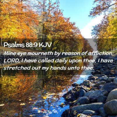 Picture 02 - Psalms 88:9 KJV - Mine eye mourneth by reason of affliction: LORD, - Bible Verse Picture
