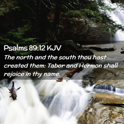Picture 02 - Psalms 89:12 KJV - The north and the south thou hast created them: - Bible Verse Picture