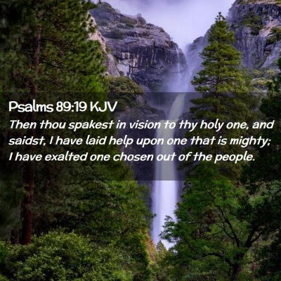 Picture 02 - Psalms 89:19 KJV - Then thou spakest in vision to thy holy one, and - Bible Verse Picture