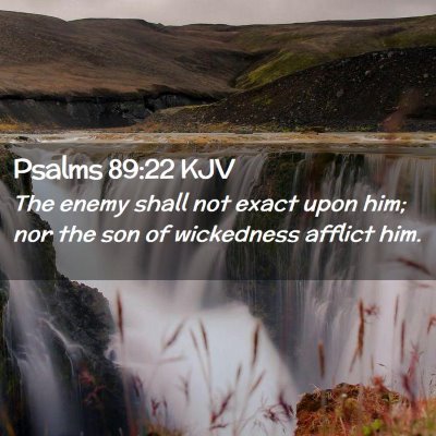 Picture 02 - Psalms 89:22 KJV - The enemy shall not exact upon him; nor the son - Bible Verse Picture