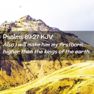 Picture 02 - Psalms 89:27 KJV - Also I will make him my firstborn, higher than - Bible Verse Picture