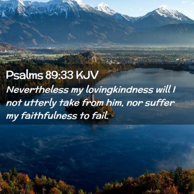 Picture 02 - Psalms 89:33 KJV - Nevertheless my lovingkindness will I not utterly - Bible Verse Picture