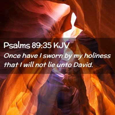 Picture 02 - Psalms 89:35 KJV - Once have I sworn by my holiness that I will not - Bible Verse Picture