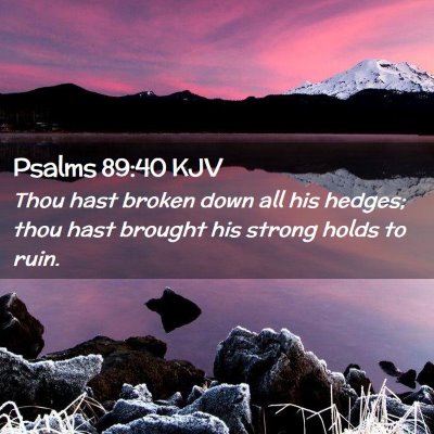 Picture 02 - Psalms 89:40 KJV - Thou hast broken down all his hedges; thou hast - Bible Verse Picture