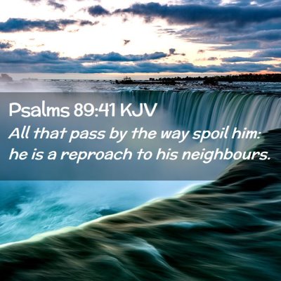 Picture 02 - Psalms 89:41 KJV - All that pass by the way spoil him: he is a - Bible Verse Picture