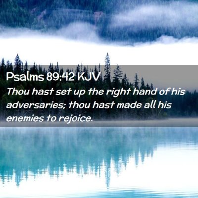 Picture 02 - Psalms 89:42 KJV - Thou hast set up the right hand of his - Bible Verse Picture