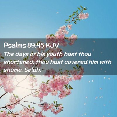 Picture 02 - Psalms 89:45 KJV - The days of his youth hast thou shortened: thou - Bible Verse Picture