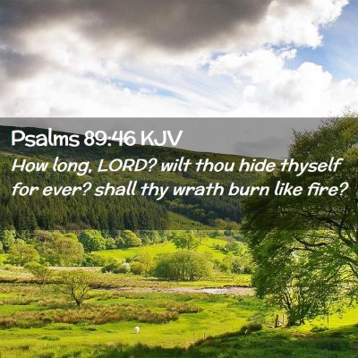 Picture 02 - Psalms 89:46 KJV - How long, LORD? wilt thou hide thyself for ever? - Bible Verse Picture