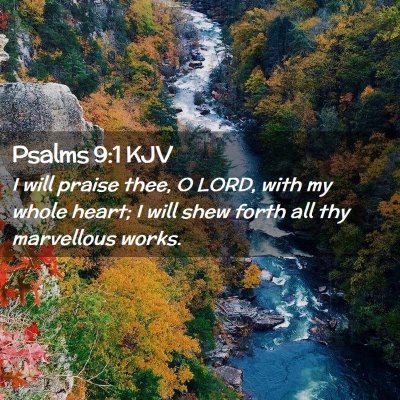 Picture 02 - Psalms 9:1 KJV - I will praise thee, O LORD, with my whole heart; - Bible Verse Picture