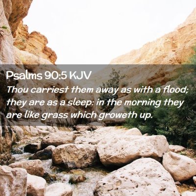 Picture 02 - Psalms 90:5 KJV - Thou carriest them away as with a flood; they are - Bible Verse Picture