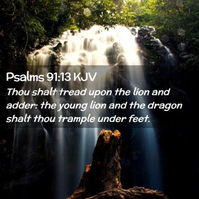 Picture 02 - Psalms 91:13 KJV - Thou shalt tread upon the lion and adder: the - Bible Verse Picture