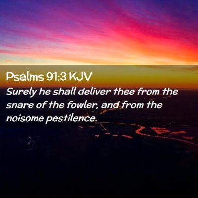 Picture 02 - Psalms 91:3 KJV - Surely he shall deliver thee from the snare of - Bible Verse Picture