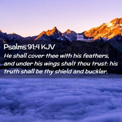 Picture 02 - Psalms 91:4 KJV - He shall cover thee with his feathers, and under - Bible Verse Picture