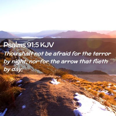 Picture 02 - Psalms 91:5 KJV - Thou shalt not be afraid for the terror by night; - Bible Verse Picture