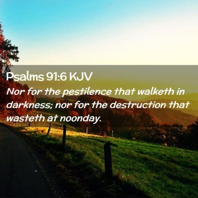 Picture 02 - Psalms 91:6 KJV - Nor for the pestilence that walketh in darkness; - Bible Verse Picture