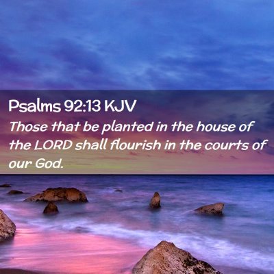 Picture 02 - Psalms 92:13 KJV - Those that be planted in the house of the LORD - Bible Verse Picture