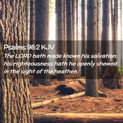 Picture 02 - Psalms 98:2 KJV - The LORD hath made known his salvation: his - Bible Verse Picture