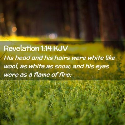Picture 02 - Revelation 1:14 KJV - His head and his hairs were white like wool, as - Bible Verse Picture
