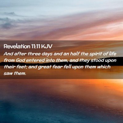 Picture 02 - Revelation 11:11 KJV - And after three days and an half the spirit of - Bible Verse Picture