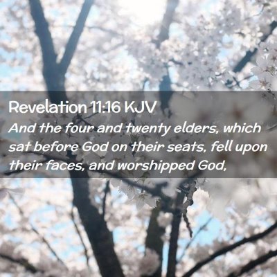 Picture 02 - Revelation 11:16 KJV - And the four and twenty elders, which sat before - Bible Verse Picture