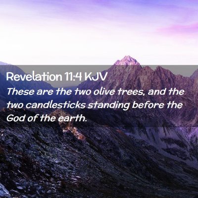 Picture 02 - Revelation 11:4 KJV - These are the two olive trees, and the two - Bible Verse Picture
