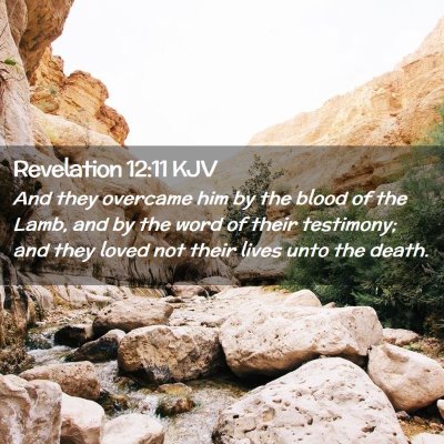 Picture 02 - Revelation 12:11 KJV - And they overcame him by the blood of the Lamb, - Bible Verse Picture