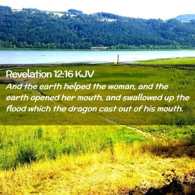 Picture 02 - Revelation 12:16 KJV - And the earth helped the woman, and the earth - Bible Verse Picture