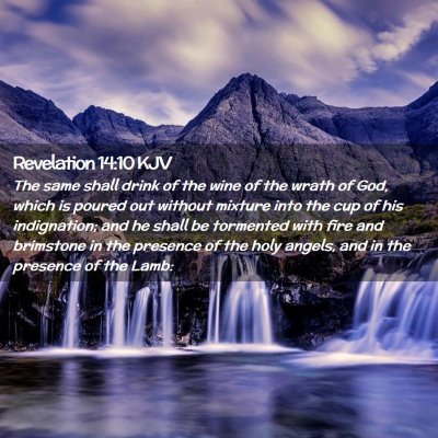 Picture 02 - Revelation 14:10 KJV - The same shall drink of the wine of the wrath of - Bible Verse Picture