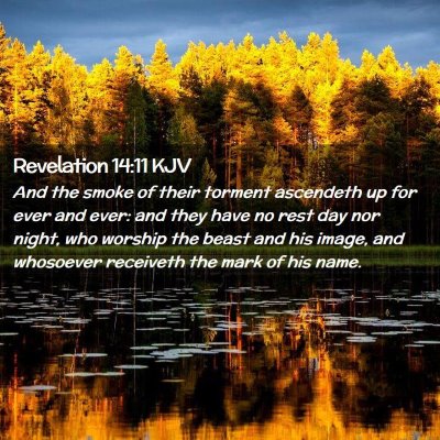 Picture 02 - Revelation 14:11 KJV - And the smoke of their torment ascendeth up for - Bible Verse Picture