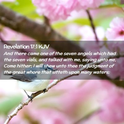 Picture 02 - Revelation 17:1 KJV - And there came one of the seven angels which had - Bible Verse Picture