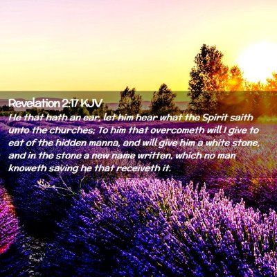 Picture 02 - Revelation 2:17 KJV - He that hath an ear, let him hear what the Spirit - Bible Verse Picture