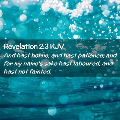 Picture 02 - Revelation 2:3 KJV - And hast borne, and hast patience, and for my - Bible Verse Picture