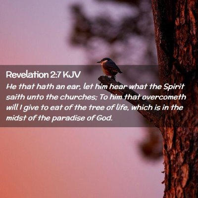 Picture 02 - Revelation 2:7 KJV - He that hath an ear, let him hear what the Spirit - Bible Verse Picture