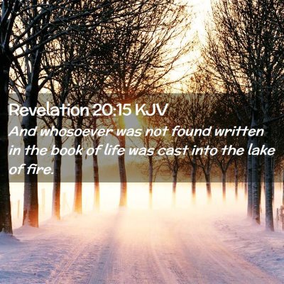 Picture 02 - Revelation 20:15 KJV - And whosoever was not found written in the book - Bible Verse Picture