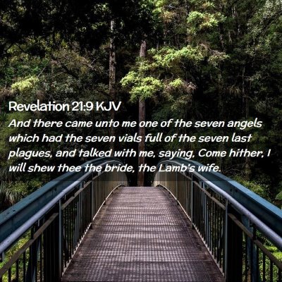Picture 02 - Revelation 21:9 KJV - And there came unto me one of the seven angels - Bible Verse Picture