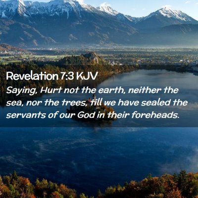 Picture 02 - Revelation 7:3 KJV - Saying, Hurt not the earth, neither the sea, nor - Bible Verse Picture