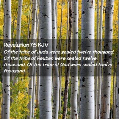 Picture 02 - Revelation 7:5 KJV - Of the tribe of Juda were sealed twelve thousand. - Bible Verse Picture
