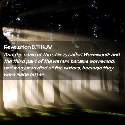 Picture 02 - Revelation 8:11 KJV - And the name of the star is called Wormwood: and - Bible Verse Picture