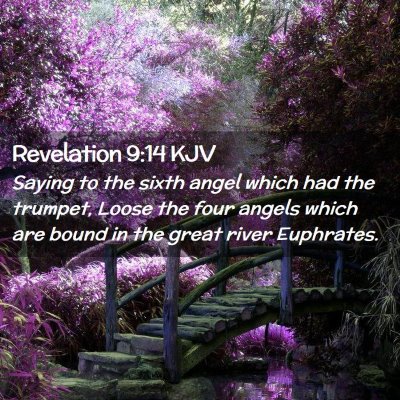 Picture 02 - Revelation 9:14 KJV - Saying to the sixth angel which had the trumpet, - Bible Verse Picture