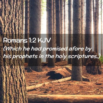 Picture 02 - Romans 1:2 KJV - (Which he had promised afore by his prophets in - Bible Verse Picture