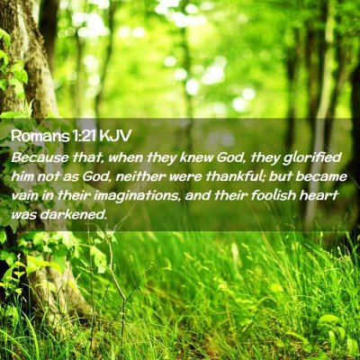 Picture 02 - Romans 1:21 KJV - Because that, when they knew God, they glorified - Bible Verse Picture