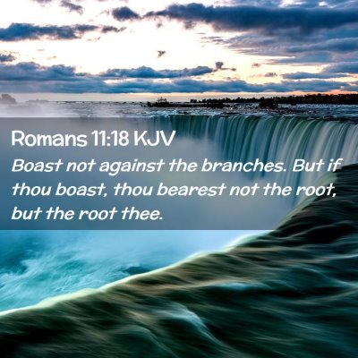Picture 02 - Romans 11:18 KJV - Boast not against the branches. But if thou - Bible Verse Picture