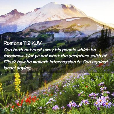 Picture 02 - Romans 11:2 KJV - God hath not cast away his people which he - Bible Verse Picture