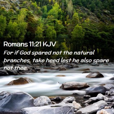 Picture 02 - Romans 11:21 KJV - For if God spared not the natural branches, take - Bible Verse Picture