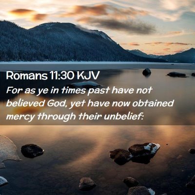 Picture 02 - Romans 11:30 KJV - For as ye in times past have not believed God, - Bible Verse Picture