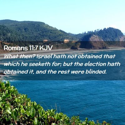 Picture 02 - Romans 11:7 KJV - What then? Israel hath not obtained that which he - Bible Verse Picture