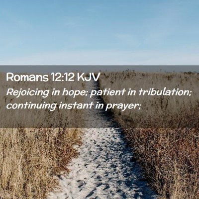 Picture 02 - Romans 12:12 KJV - Rejoicing in hope; patient in tribulation; - Bible Verse Picture