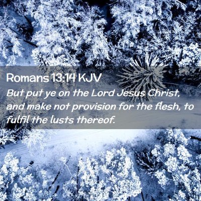 Picture 02 - Romans 13:14 KJV - But put ye on the Lord Jesus Christ, and make not - Bible Verse Picture