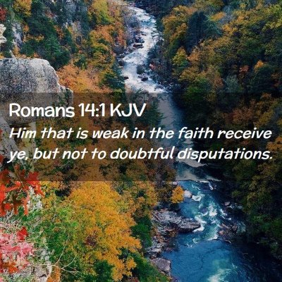 Picture 02 - Romans 14:1 KJV - Him that is weak in the faith receive ye, but not - Bible Verse Picture