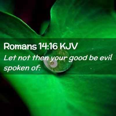 Picture 02 - Romans 14:16 KJV - Let not then your good be evil spoken - Bible Verse Picture